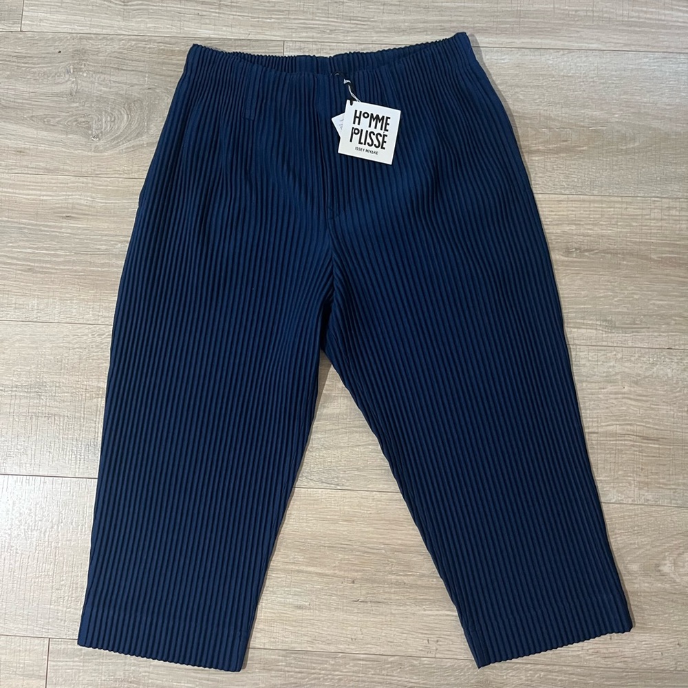 Issey Miyake pants